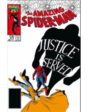 A Saga Do Homem-Aranha 16 (40)
