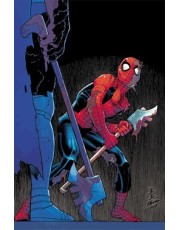 O Espetacular Homem-Aranha (2025) 11