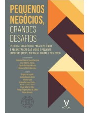 Pequenos Negócios, Grandes Desafios