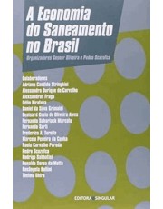 A Economia Do Saneamento No Brasil