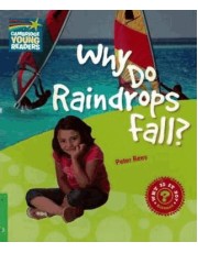 Why Do Raindrops Fall?- Level 3