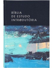 Bíblia De Estudo Introdutoria, Nvi, Capa Dura Com Tecido E Couro-Soft, Leitura Perfeita