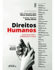 Direitos Humanos - Contextos E Perspectivas