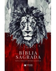 Bíblia Sagrada - Nvt - Vermelho E Cinza