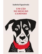 Um Cão No Meio Do Caminho
