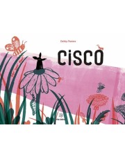 Cisco Cisco