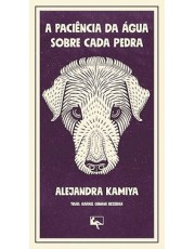 A Paciencia Da Agua Sobre Cada Pedra