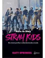 Stray Kids - Here To Stay - Eles Vieram Pra Ficar E Estão Dominando O Mundo