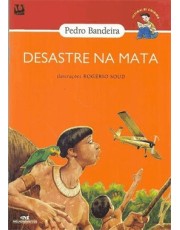 Desastre Na Mata