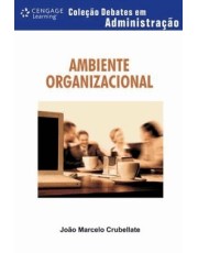 Ambiente Organizacional