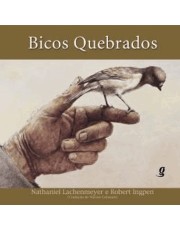 Bicos Quebrados Bicos Quebrados