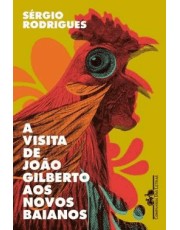 Visita De João Gilberto Aos Novos Baianos, A