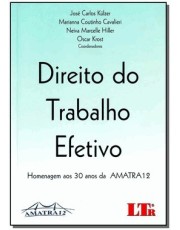 Direito Do Trabalho Efetivo: Homenagem Aos 30 Anos Da Amatra 12