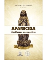 Aparecida Significados E Perspectivas