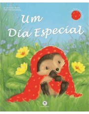 Um Dia Especial