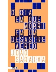 Dia Em Que Morri Em Um Desastre Aereo, O
