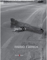 Junco