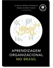 Aprendizagem Organizacional No Brasil
