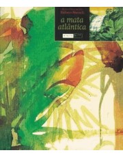 Mata Atlantica, A Mata Atlantica, A