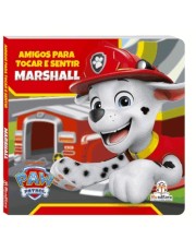 Amigos Para Tocar E Sentir - Marshall