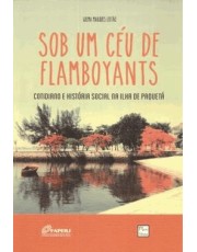 Sob Um Ceu De Flamboyants