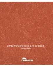 Caracol E Uma Casa Que Se Anda