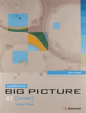 American Big Picure A1 Tchs Book