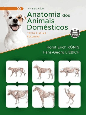 Anatomia Dos Animais Domésticos