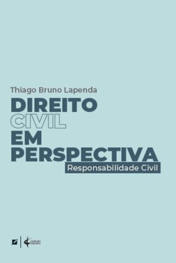 Direito Civil Em Perspectiva