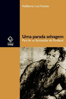 Uma Parada Selvagem - Para Ler As Iluminações De Rimbaud