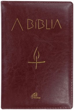 A Biblia - Letra Grande Luxo Marrom