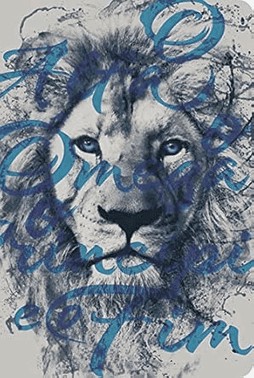 Biblia Nvt 960 Leao Alfa E omega - Letra Normal: Nova Versao Transformadora