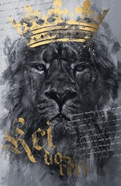 Nvt Pop Flex - Leao Rei Dos Reis - Letra Normal - Nova Versao Transformadora