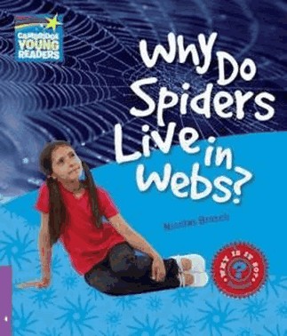 Why Do Spiders Live In Webs? 4 - Factbook