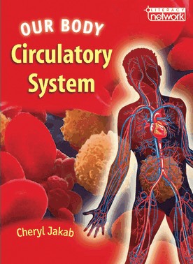 Our Body Circulatory System