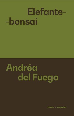 Elefante-Bonsai