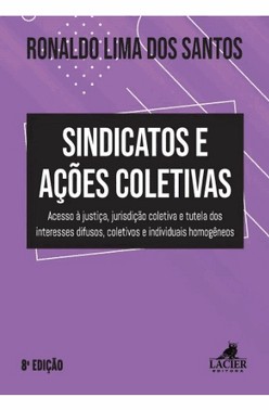 Sindicato E Acoes Coletivas