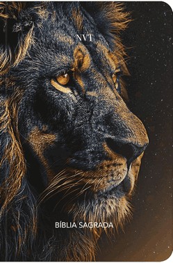 Biblia Sagrada Com Recursos - Preta