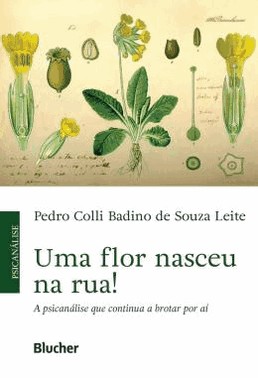 Uma Flor Nasceu Na Rua!