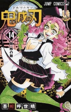 Demon Slayer – Kimetsu No Yaiba - Vol.14
