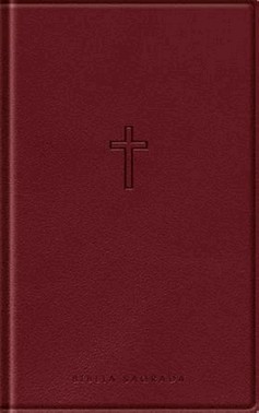 Biblia Slim - Com Mapas Mentais - Naa - Vinho