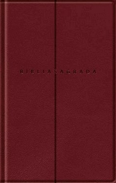 Biblia Slim - Com Mapas Mentais Nvi - Vinho