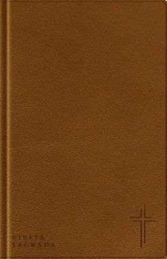 Biblia Com Mapas Mentais- Nvt - Letra Grande - Marrom