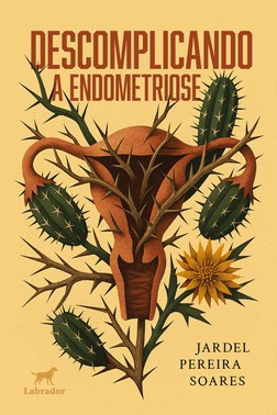 Descomplicando A Endometriose