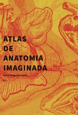 Atlas De Anatomia Imaginada