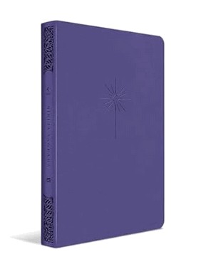 Biblia Nvt - Slim - Letra Grande - Lilas, Luxo Couro Sintetico - Habilitada Para Filament