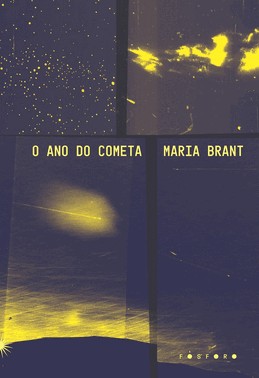 O Ano Do Cometa