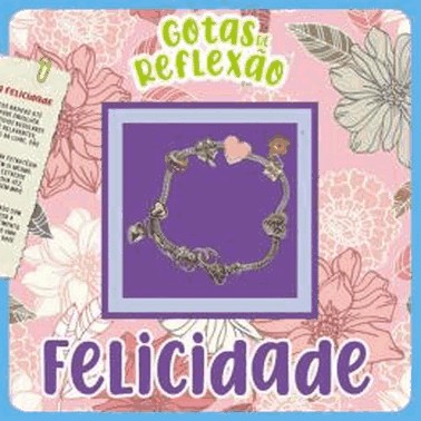 Gotas De Reflexao - Felicidade