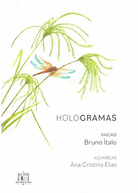Hologramas