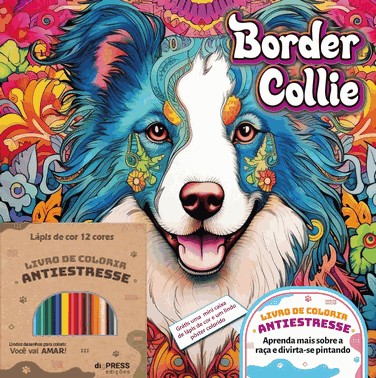 Border Collie